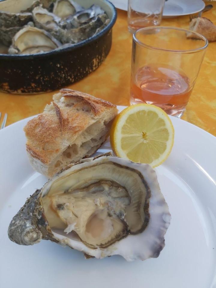 Chateau Neuf Le Desert Le Pizou Екстериор снимка